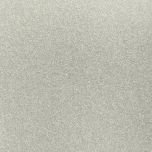 2008 Volkswagen EOS Silver Essence