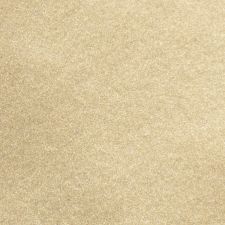 2011 Toyota Avalon Sandy Beach Metallic