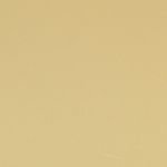 2008 Toyota FJ Cruiser Sandstorm Metallic