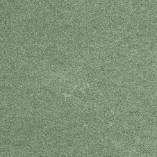 2008 Honda Accord Mystic Green Metallic