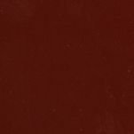 2008 Toyota FJ Cruiser Brick Red