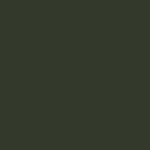 2023 Nissan Frontier Tactical Green Metallic
