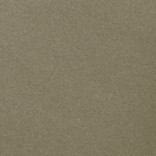 2010 Nissan Altima Sonoran Sand Metallic