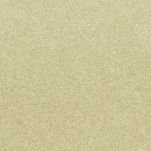 2009 Subaru Impreza Sunlight Gold Opal