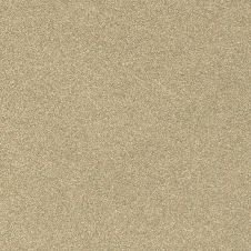 2009 Acura RL Tuscan Beige Metallic