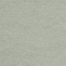 2010 Toyota FJ Cruiser Silver Fresco Metallic