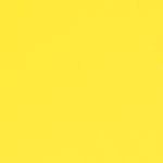 2009 Toyota Yaris Yellow Jolt