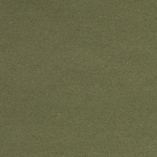 2009 Nissan Cube Moss Green Pearl Metallic