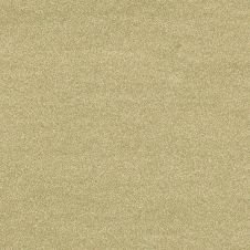 2009 Volkswagen Routan Blonde Maple