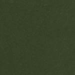 2021 Toyota Tacoma Army Green