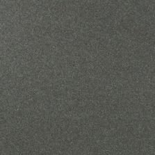 2010 Hyundai Elantra Carbon Gray Mist