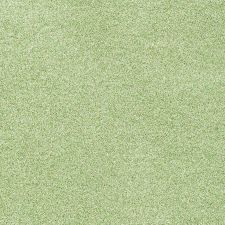 2010 Hyundai Tucson Kiwi Green