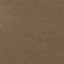 2015 Volkswagen Passat Titanium Beige Metallic