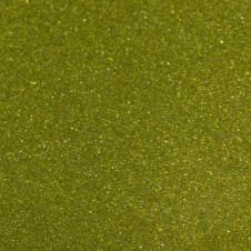 2011 Nissan Xterra Pop Green Metallic