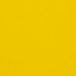 2019 Porsche 911 Racing Yellow