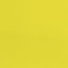 2013 Dodge Dart Citrus Peel Pearl