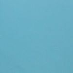 2013 Dodge Dart Laguna Blue