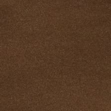 2014 Ford Transit Connect Burnished Glow Metallic