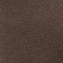 2017 Toyota Prius Toasted Walnut Pearl