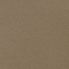 2015 Hyundai Genesis Marrakesh Beige