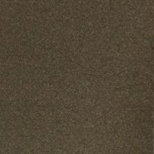 2015 Audi Q3 Tundra Brown Metallic