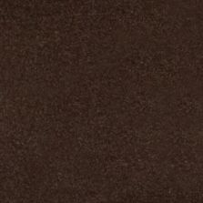 2019 Porsche Panamera Ristretto Brown Metallic