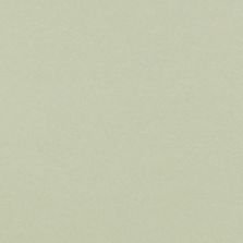 2017 Audi Q7 Tofana White Crystal