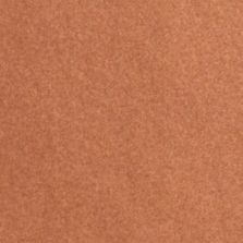 2017 Ford Fiesta Chrome Copper Metallic