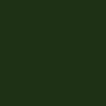 2022 Bentley Bentayga British Racing Green 4