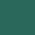 2000 BMW 3-Series Fern Green Metallic