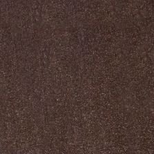 2018 Kia Niro Rich Espresso