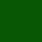 2004 Lexus IS Electric Green Mica