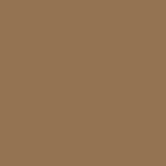 2000 Lexus GS Antique Bronze Mica