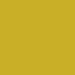 2008 Scion xB Gold Rush Mica