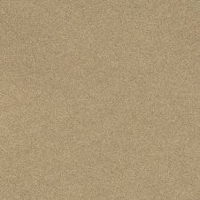 2005 Toyota Corolla Desert Sand Mica