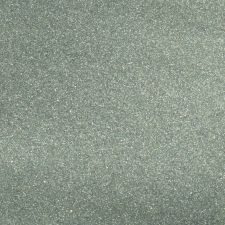 2007 Toyota RAV4 Everglade Metallic
