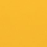2009 Pontiac G3 Summer Yellow