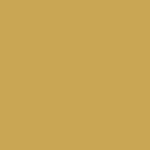 2002 Isuzu Axiom Star Gold