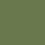 2003 Isuzu Axiom Mistral Green