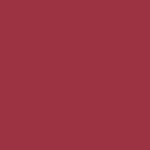 2003 Isuzu Axiom Currant Red