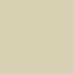 2002 Mitsubishi Galant Bodega Beige Metallic