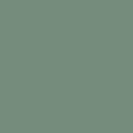 1993 Chevrolet Caprice Dark Green-Gray Metallic
