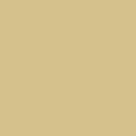 2001 Saturn S-Series Medium Gold