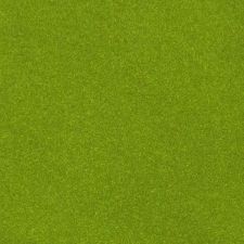 2019 Jeep Wrangler Mojito