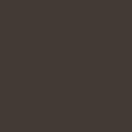 2019 Genesis G80 Serengeti Brown