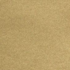 2008 Kia Sedona Sunset Gold