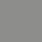 2019 Vespa GTS 125 Shiny Gray