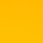 2009 Dodge Dakota Detonator Yellow