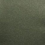 2169.jpg