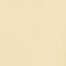 2026 Ford Bronco Wimbledon White